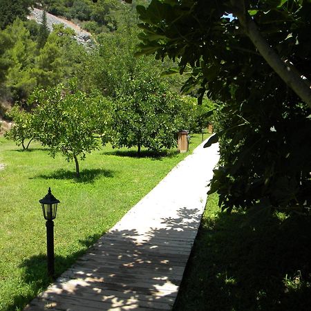 Azra Villas Çıralı Cameră foto