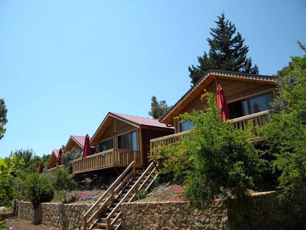 Azra Villas Çıralı Cameră foto