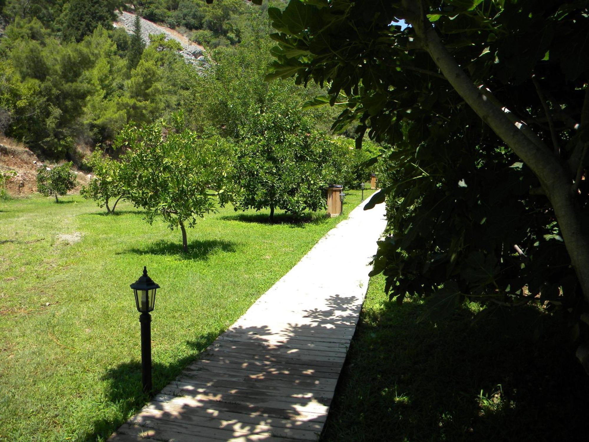 Azra Villas Çıralı Cameră foto
