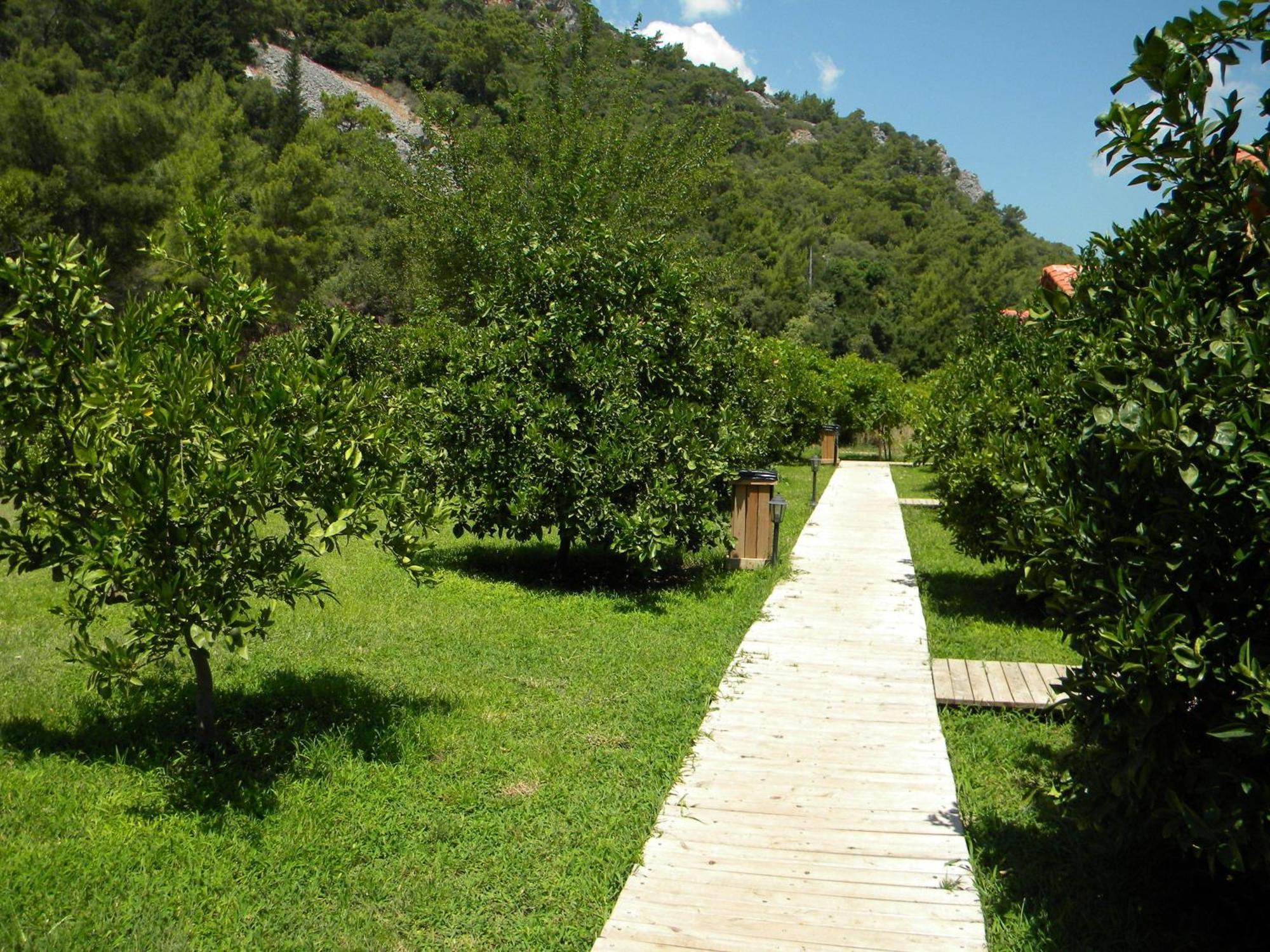 Azra Villas Çıralı Cameră foto